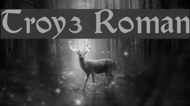 Troy3 Roman Polices examples