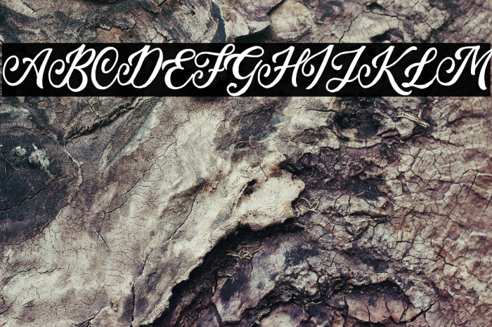 TroylineDEMO Example 1