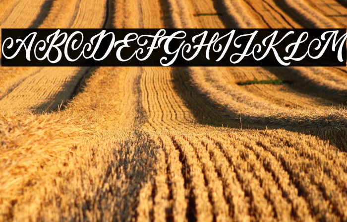 TroylineDEMO Example 2