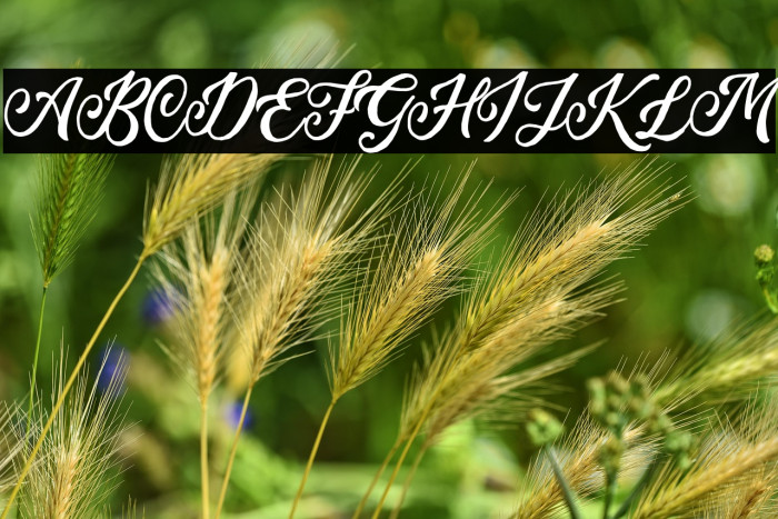 TroylineDEMO Example 3