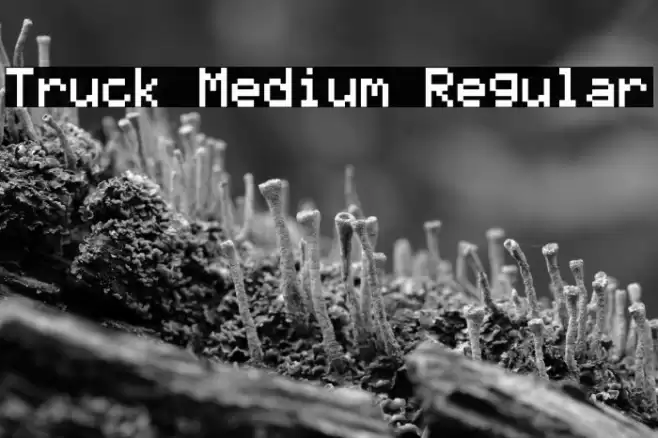 Truck Medium Regular フォント examples