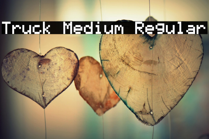 Truck Medium Regular Example 2