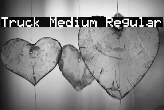 Truck Medium Regular フォント examples