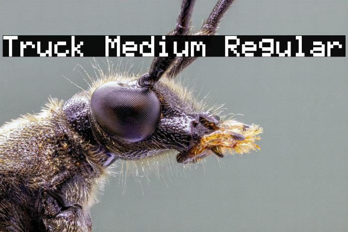 Truck Medium Regular Example 3