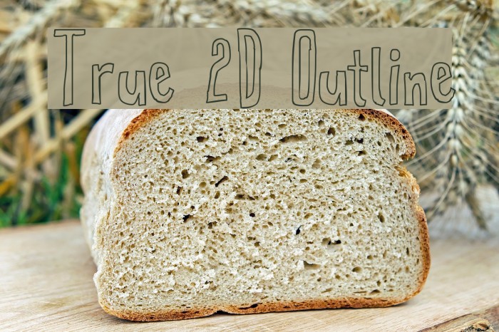 True 2D Outline Font examples