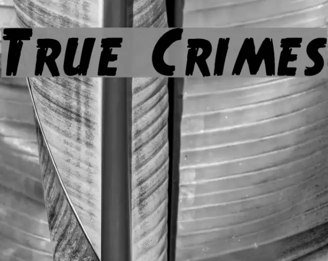 True Crimes Polices examples