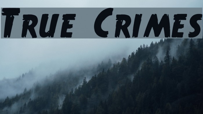 True Crimes Polices examples