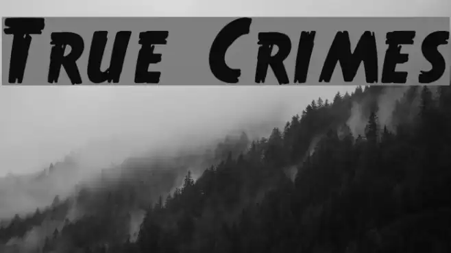 True Crimes Polices examples
