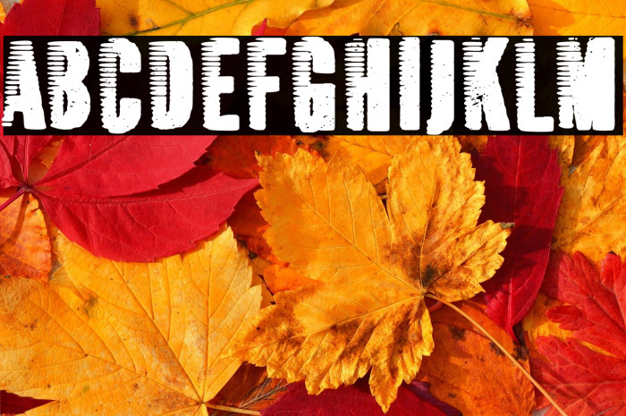 True Fast detective Example 2