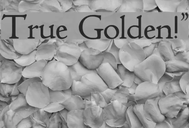 True Golden!` Font examples
