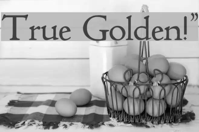 True Golden!` Font examples