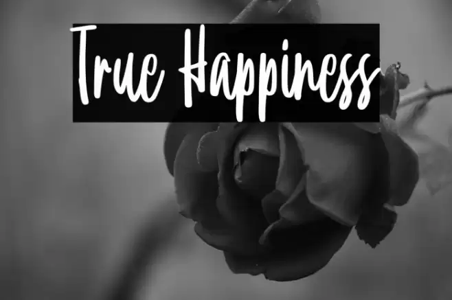 True Happiness Font examples