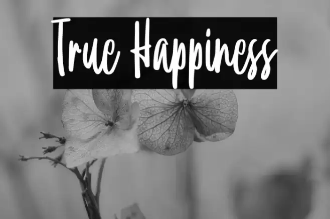 True Happiness Font examples