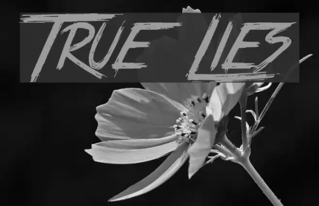 True Lies Font examples