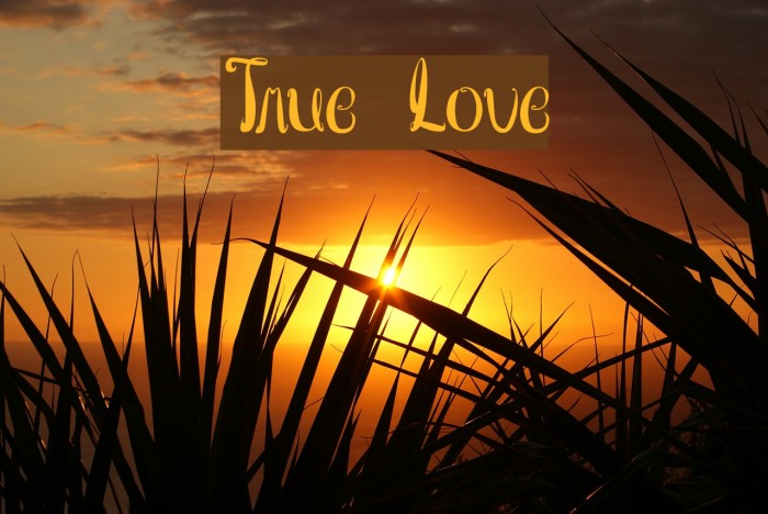 True Love Font examples