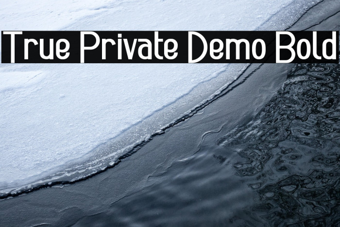 True Private Demo Bold Example 1