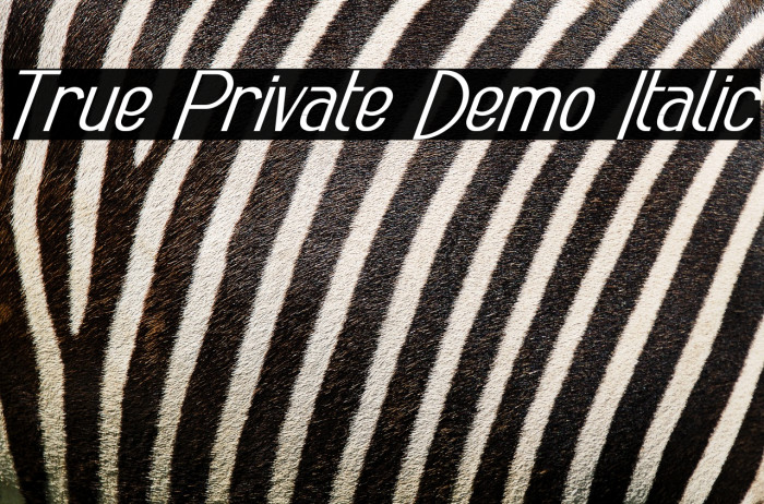True Private Demo Italic Example 1