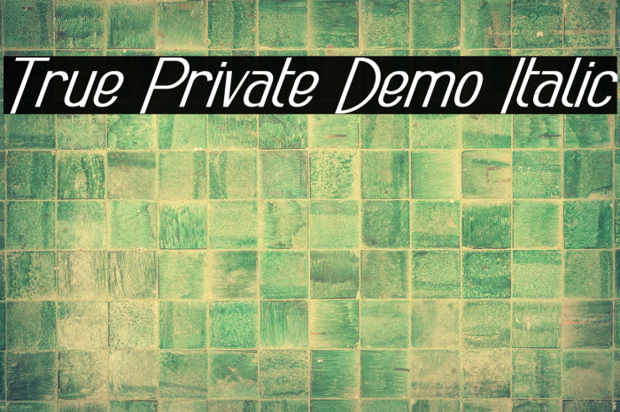 True Private Demo Italic Example 2