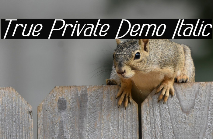 True Private Demo Italic Example 3