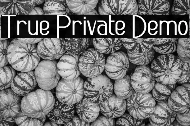 True Private Demo Font examples