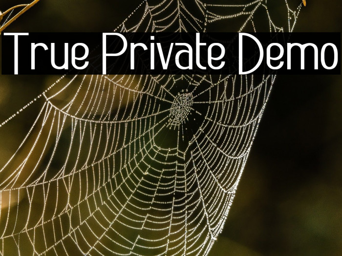 True Private Demo Example 2