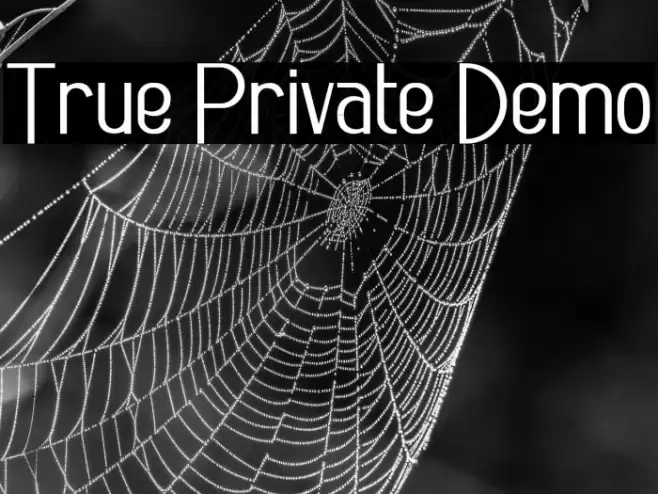 True Private Demo Font examples
