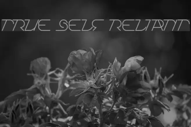 True Self Reliant Font examples