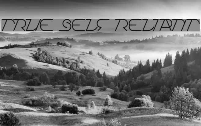 True Self Reliant Font examples