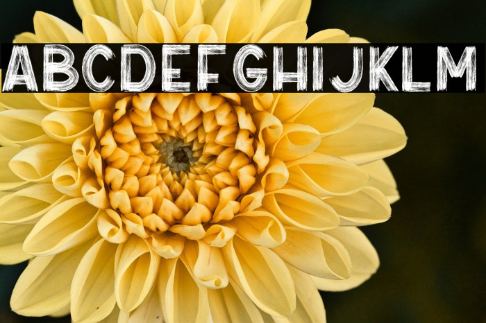 True South Example 1