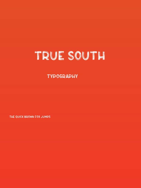True South Poster