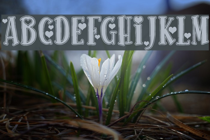 True Stories Example 1