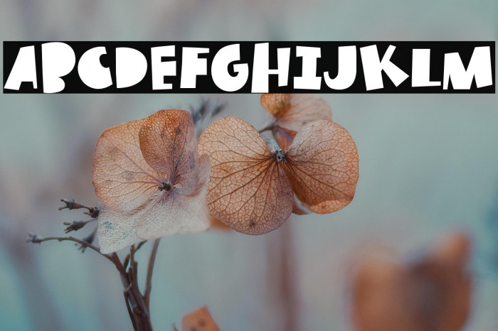 True Story Example 1