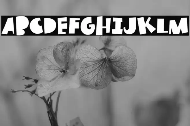 True Story Font examples