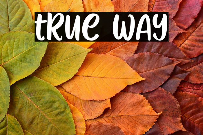 True Way Example 1