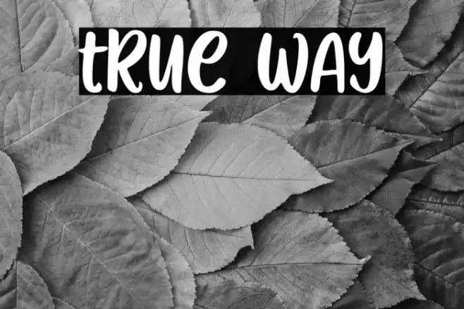 True Way Font examples