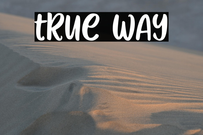 True Way Example 2