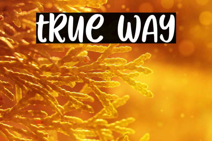 True Way Example 3