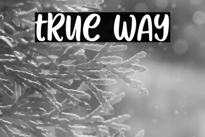 True Way Font examples