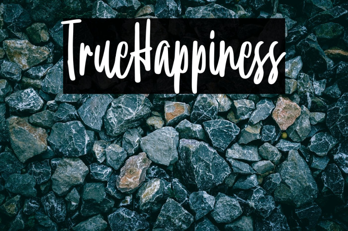 TrueHappiness Example 1