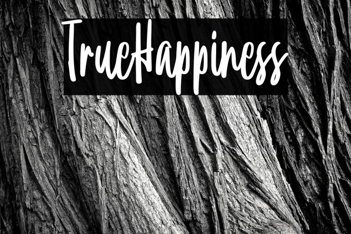 TrueHappiness Example 2