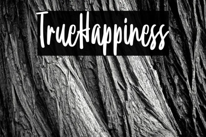 TrueHappiness Example 2