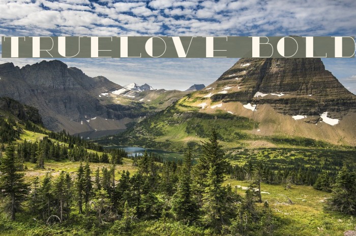 TrueLove Bold Font examples