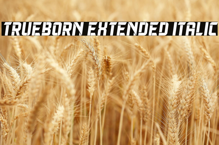 Trueborn Extended Italic Example 1