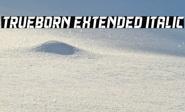 Trueborn Extended Italic Example 2
