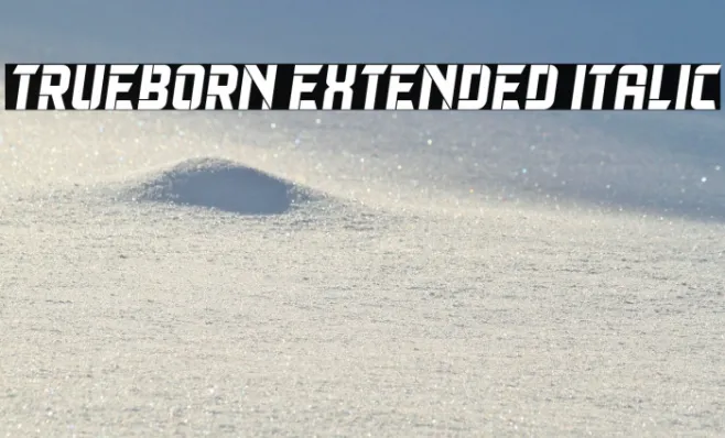 Trueborn Extended Italic Example 2