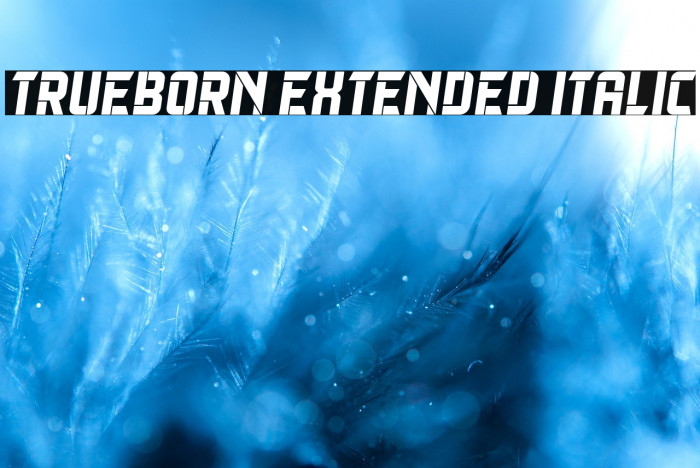 Trueborn Extended Italic Example 3