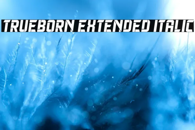 Trueborn Extended Italic Example 3