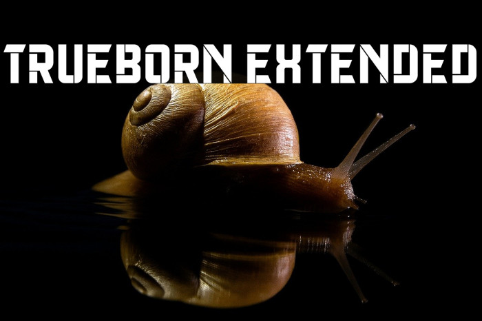 Trueborn Extended Example 1