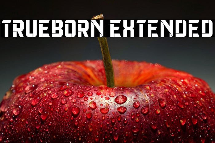 Trueborn Extended Example 2