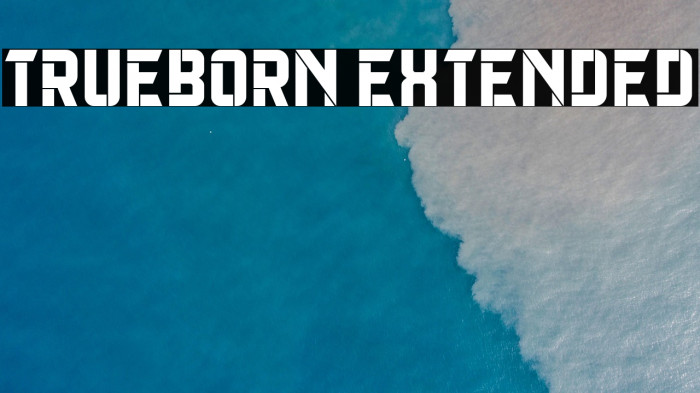 Trueborn Extended Example 3